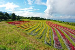 การไฟฟ้าฝ่ายผลิตแห่งประเทศไทย