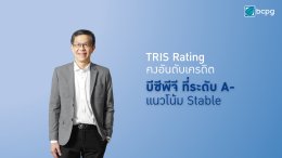 บีซีพีจี จำกัด (มหาชน)