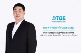 ท่าฉาง กรีน เอ็นเนอร์ยี่ จำกัด (มหาชน)