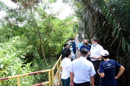 บางจาก คอร์ปอเรชั่น จำกัด (มหาชน)