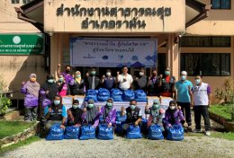 บ้านปู จำกัด (มหาชน)