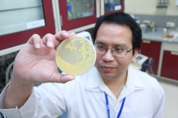 ปตท. จำกัด (มหาชน)