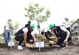 ปตท. จำกัด (มหาชน)