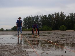 พีทีที โกลบอล เคมิคอล จำกัด (มหาชน)