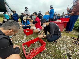 พีทีที โกลบอล เคมิคอล จำกัด (มหาชน)