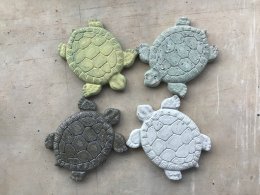 ดาว ประเทศไทย