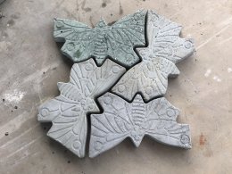 ดาว ประเทศไทย