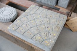 ดาว ประเทศไทย