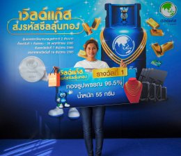 ดับบลิวพี เอ็นเนอร์ยี่ จำกัด (มหาชน)