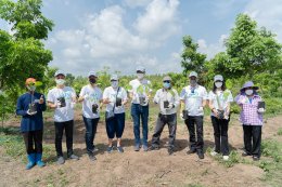 บีซีพีจี จำกัด (มหาชน)