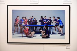 บ้านปู จำกัด (มหาชน)