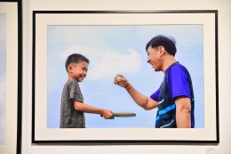 บ้านปู จำกัด (มหาชน)