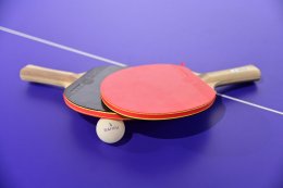 บ้านปู จำกัด (มหาชน)