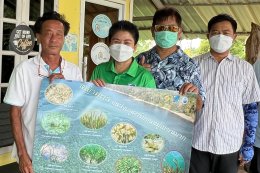 บางจาก คอร์ปอเรชั่น จำกัด (มหาชน)