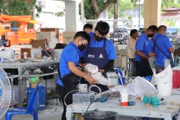 บริษัท ไออาร์พีซี จำกัด (มหาชน)