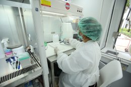 ปตท. จำกัด (มหาชน)