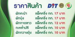 พีทีจี เอ็นเนอยี จำกัด (มหาชน)