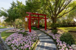 การไฟฟ้าฝ่ายผลิตแห่งประเทศไทย