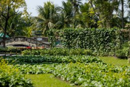 การไฟฟ้าฝ่ายผลิตแห่งประเทศไทย