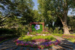 การไฟฟ้าฝ่ายผลิตแห่งประเทศไทย