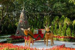 การไฟฟ้าฝ่ายผลิตแห่งประเทศไทย