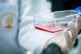 ปตท. จำกัด (มหาชน)