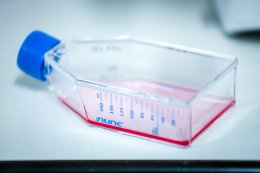 ปตท. จำกัด (มหาชน)