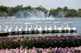 การไฟฟ้าฝ่ายผลิตแห่งประเทศไทย