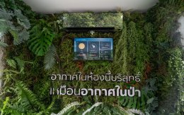 ปูนซิเมนต์ไทย จำกัด (มหาชน)