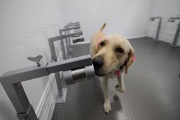 เชฟรอนประเทศไทยสำรวจและผลิต