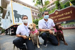 เชฟรอนประเทศไทยสำรวจและผลิต