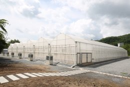 ปตท. จำกัด (มหาชน)