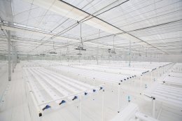 ปตท. จำกัด (มหาชน)