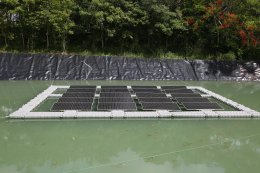 ปตท. จำกัด (มหาชน)