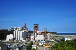 บ้านปู เพาเวอร์ จำกัด (มหาชน)