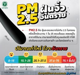 PM2.5 /PM10 ทำไมจึงอันตรายต่อสุขภาพมนุษย์ และสัตว์ 