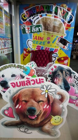 "Dog Leela" Sticker Line