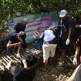 Making check dam at Chet sao noi national park