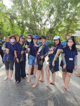 Mangrove planting and garbage collection at Bang Pu natural education center