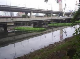 โครงการบำบัดน้ำเสียโดยใช้พืช บึงมักกะสัน กรุงเทพมหานคร
