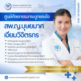 ปัญหาลูกสะบ้าเคลื่อน (Patellar Luxation) ในสุนัขพันธุ์เล็ก