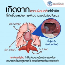 โรงพยาบาลสัตว์เอราวัณ (Erawan Pet Hospital)