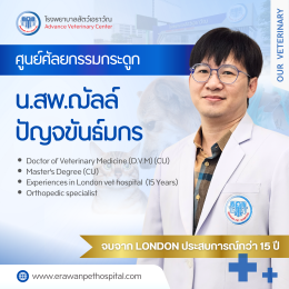 ปัญหาลูกสะบ้าเคลื่อน (Patellar Luxation) ในสุนัขพันธุ์เล็ก