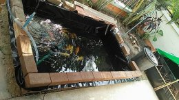 การเลี้ยงปลา หรือสัตว์น้ำในบ่อพลาสติก LDPE