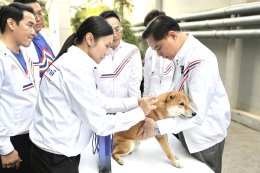 เพราะทุกชีวิตสำคัญ พรรครวมไทยสร้างชาติ เดินหน้านโยบายโรงพยาบาลสัตว์ราคาถูก เริ่มต้นด้วยความใส่ใจ