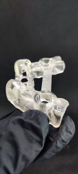 Neobiotech implant