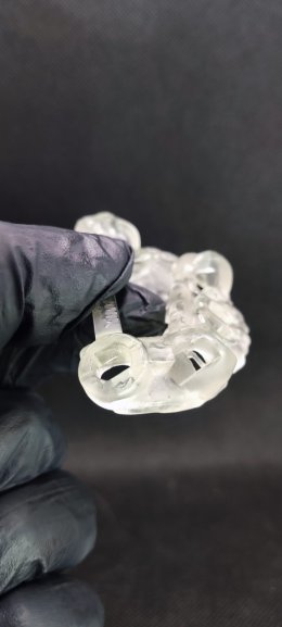 Neobiotech implant