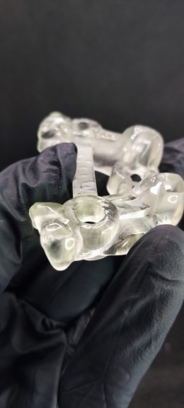 Neobiotech implant