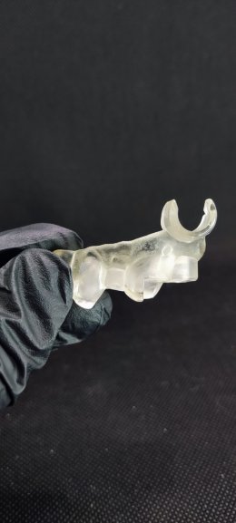 Straumann Implant