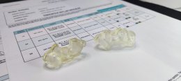Straumann Implant